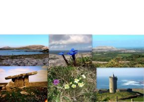 Roadside Cottage The Burren